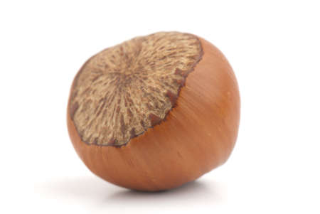 Composition from nuts on the white isolated backgroundの写真素材