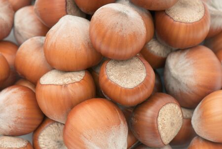 Composition from nuts on the white isolated backgroundの写真素材