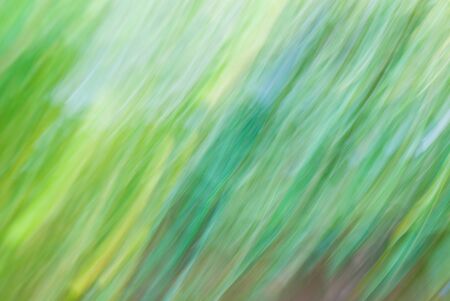 defocused abstract background of color night holiday lights の写真素材