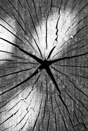 beautiful  abstract  high-quality texture as background for a designの写真素材