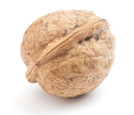 Composition from nuts on the white isolated backgroundの写真素材