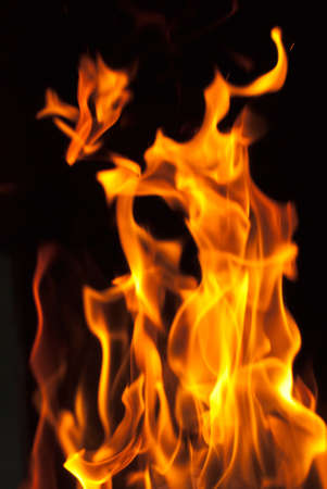 flames from a fire on a black background. picture.の写真素材