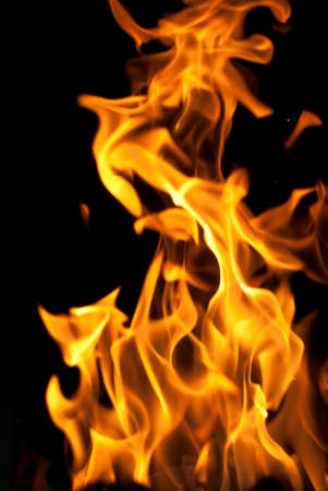 flames from a fire on a black background. picture.の写真素材