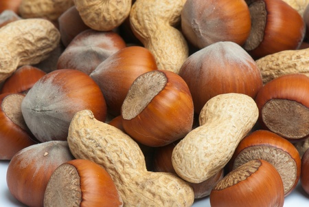 Composition from nuts on the white isolated backgroundの写真素材
