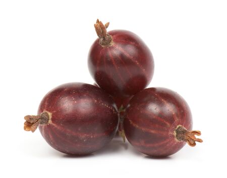 fresh ripe  Eatberry photographed closeup isolated on a white backgroundの写真素材
