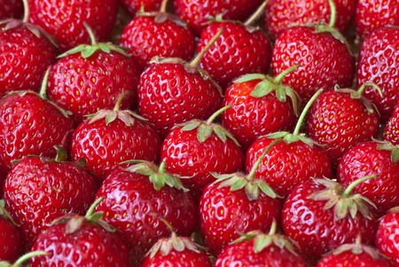 fresh strawberry on the clean isolated backgroundの写真素材