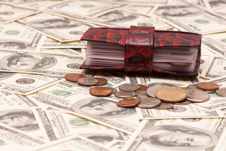 Leather purse cards on background of American money. Studio photoの写真素材