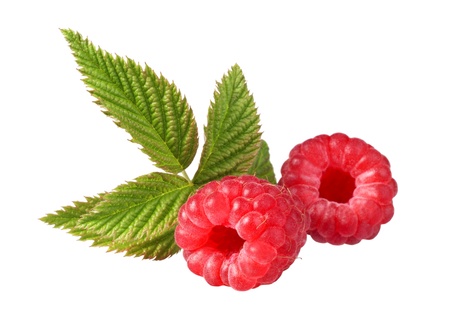 fresh raspberries on white backgroundの写真素材