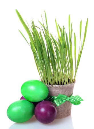 easter eggs and grass on white background の写真素材