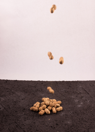lots of peanutsの写真素材
