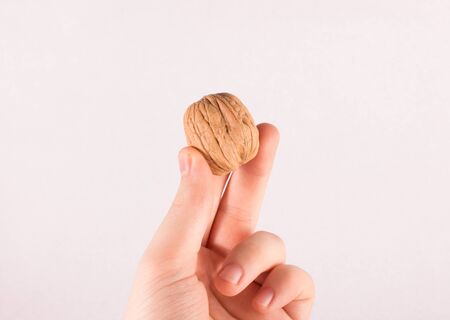 walnut on white backgroundの写真素材