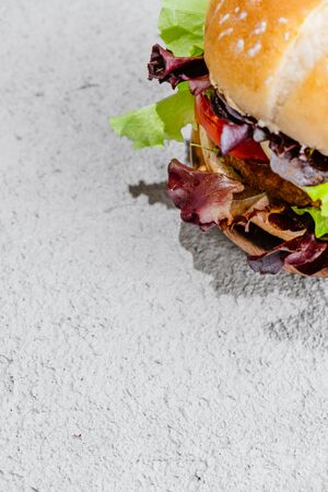 Vegan burger on wooden background with vegetables. Healthy Vegan food. Seitan, soyaの写真素材