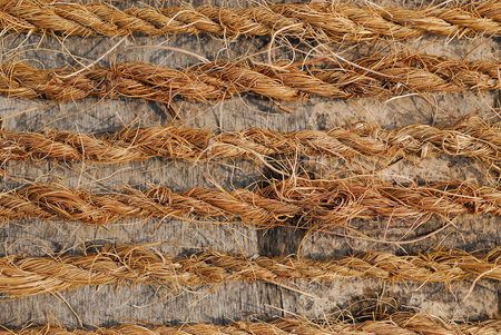 nature rope