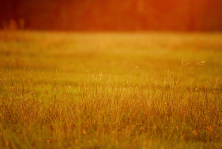 light of sunset