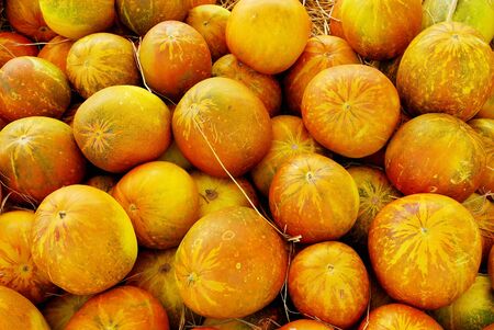 Muskmelonの写真素材