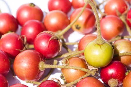 close up of thai redberryの写真素材