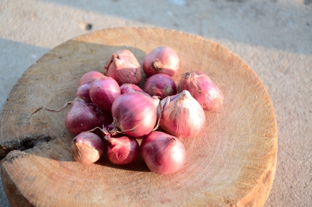 Shallot の写真素材