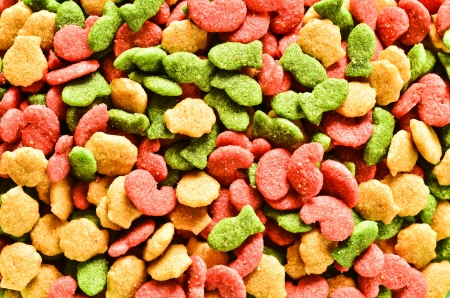 animal feedの写真素材