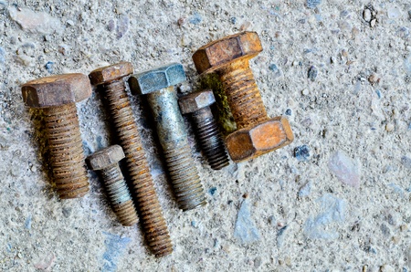 Different nutsの写真素材