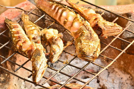 Grilled fish on the stoveの写真素材