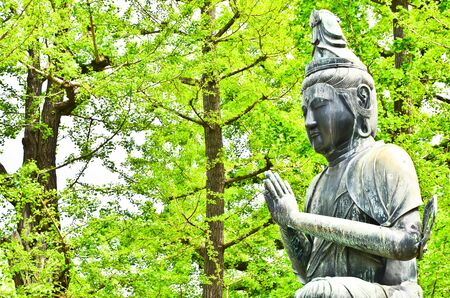 Suiting Buddha statueの写真素材