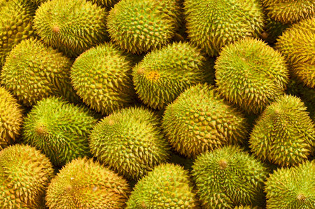 Durian, king of fruit