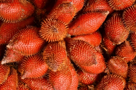 Thai sweet fruit,Zalaccaの写真素材