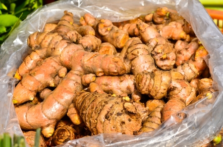 Turmeric root の写真素材