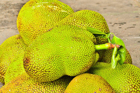 jackfruit