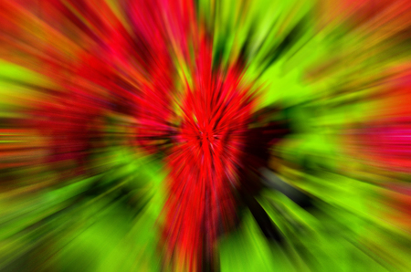 Cockscomb flowers Abstractの写真素材