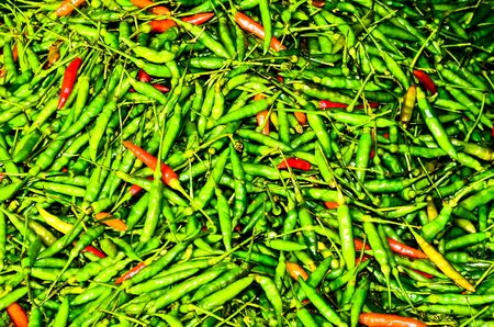 Hot chilliの写真素材