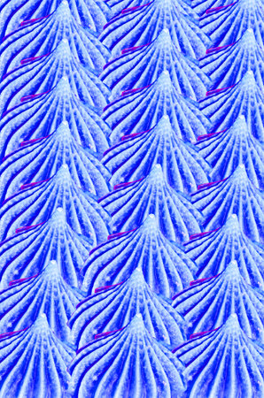 blue sweetness jelly