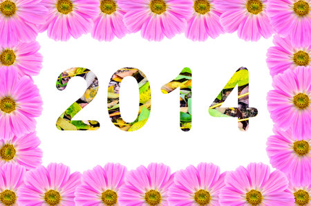 Pink Cosmos flowers frame and 2014