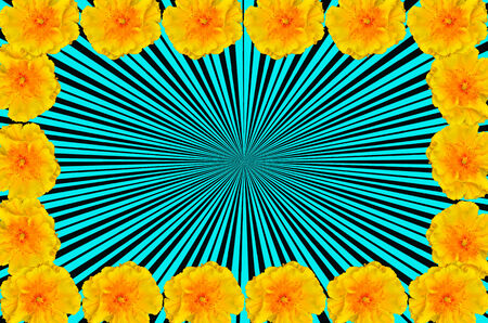 Yellow silk cotton tree flower picture frameの写真素材