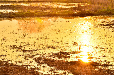 Beautiful water when sunset