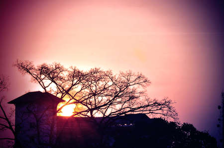 sunrise on the roofの写真素材