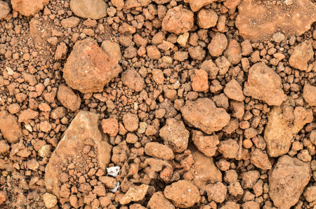soil background closeupの写真素材