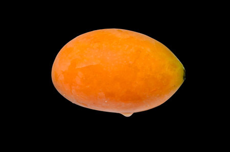 Marian Plum