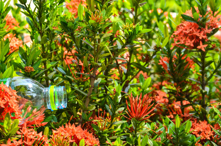 Plastic bottle placed in a flower spike の写真素材