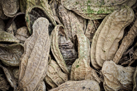 peanuts peel stackの写真素材