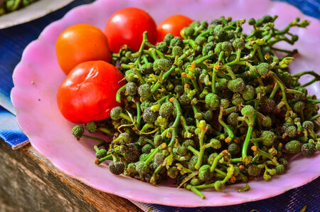 green fresh Salae and tomatoの写真素材