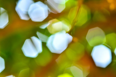 Natural green blurred background