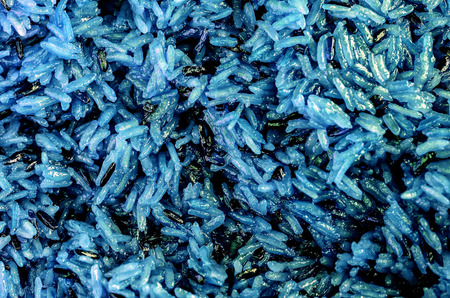 blue riceの写真素材