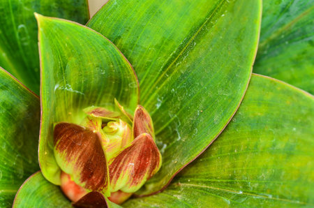 View from the top on threeの写真素材