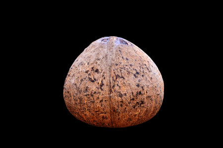 Coconut shell on black background