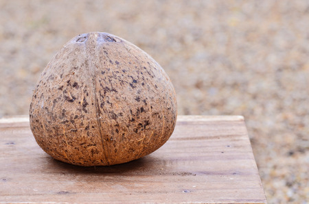 Coconut shellの写真素材