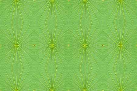 Macro of green leaf background