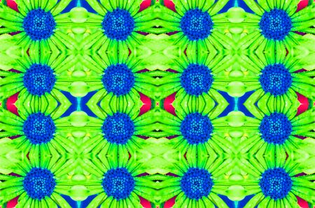 macro shot of daisy flower backgroundの写真素材