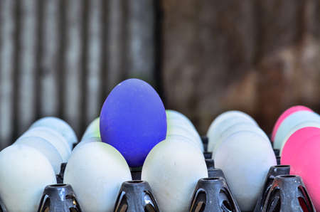 white eggs with one blue eggの写真素材