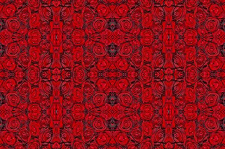 dark red with droplets Red natural roses backgroundの写真素材